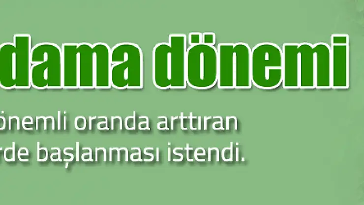 Fındıkta budama dönemi başladı