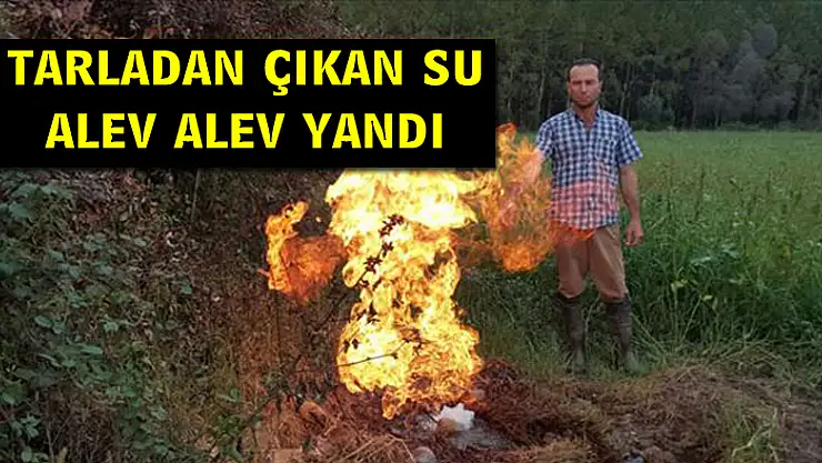 TARLADAN ÇIKAN SU ALEV ALEV YANIYOR