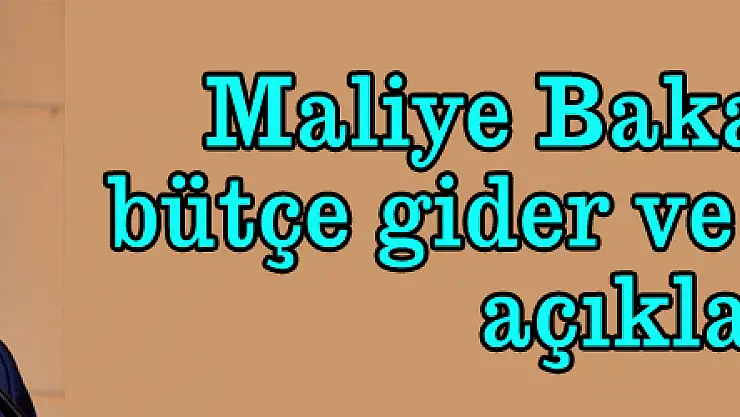 Maliye Bakanı 2017 bütçe gider ve gelirlerini açıkladı