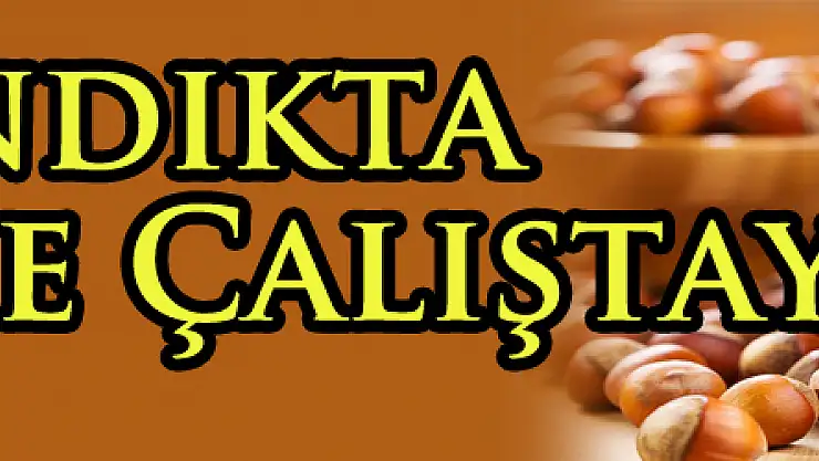 Fındıkta 'Külleme' Çalıştayı