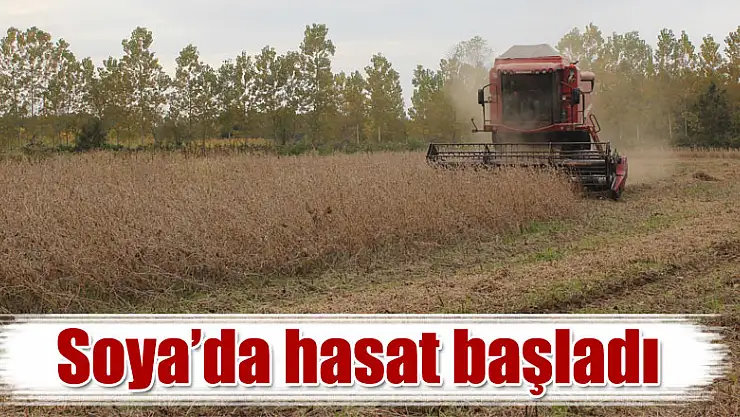 Soya'da hasat başladı