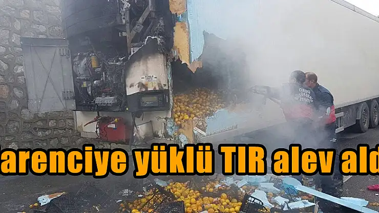 Narenciye yüklü TIR alev aldı