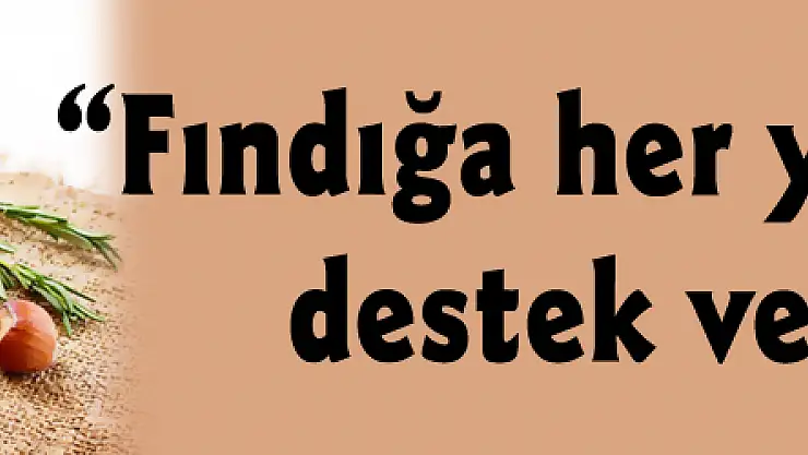 'Fındığa her yıl kesintisiz destek verilecek'