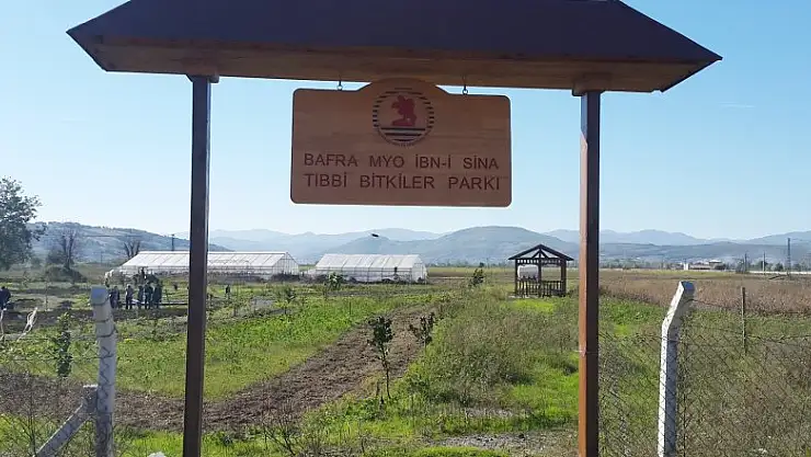 Bafra'ya Tıbbi Bitkiler Parkı