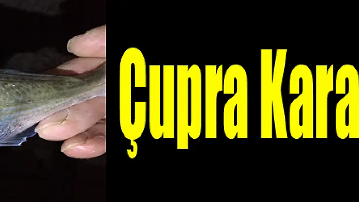  Çupra Karadenizli oluyor