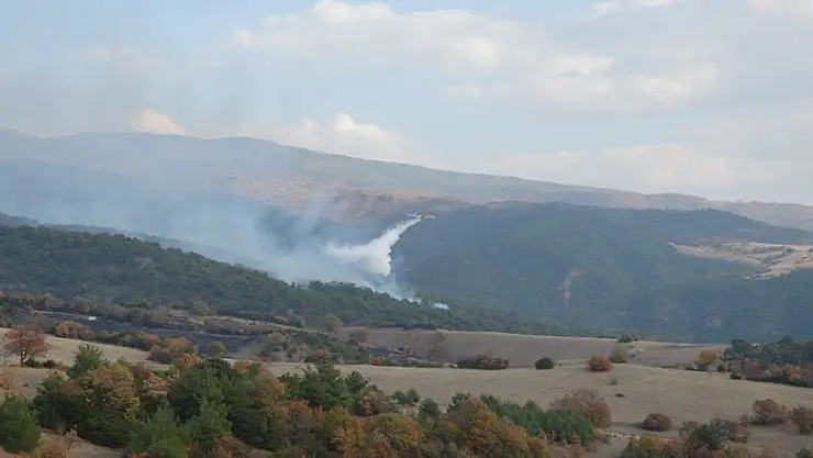Tokat'taki orman yangınına uçakla müdahale ediliyor