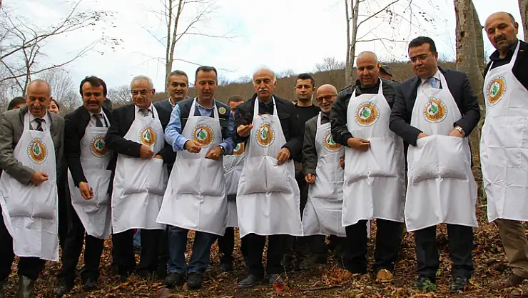 Ormanlar gençleştiriliyor