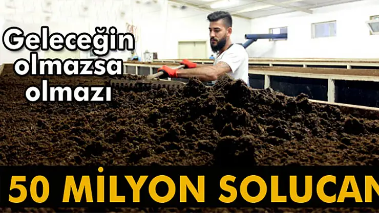 150 milyon solucanla, yılda 500 ton organik gübre üretiyor