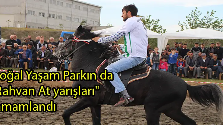 Doğal Yaşam Parkın da 'Rahvan At yarışları' tamamlandı