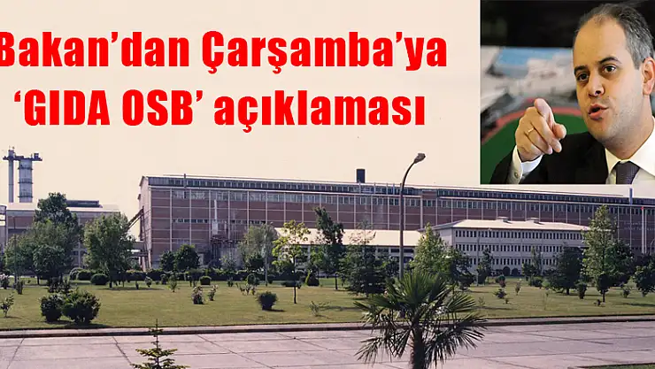 Bakan'dan Çarşamba'ya 'GIDA OSB' açıklaması