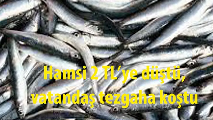 Hamsi 2 TL'ye düştü, vatandaş tezgaha koştu