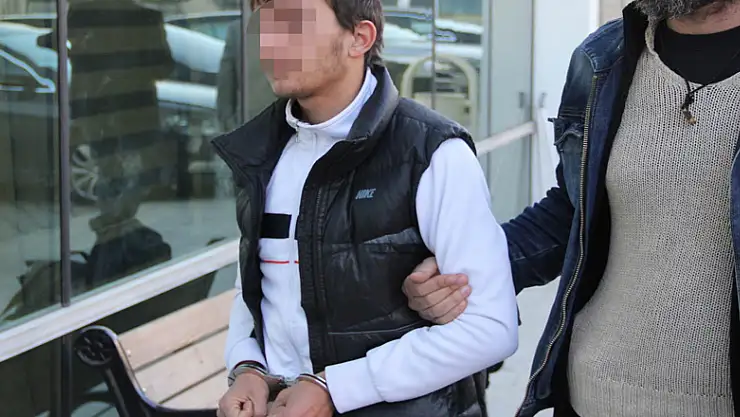 Bonzai ticaretinden tutuklandı