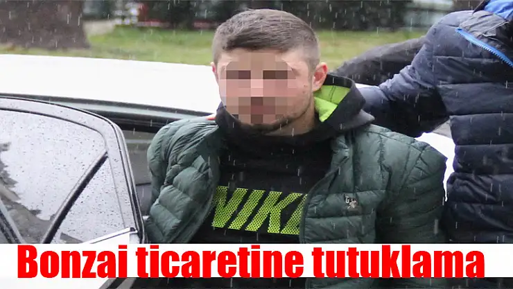 Bonzai ticaretine tutuklama