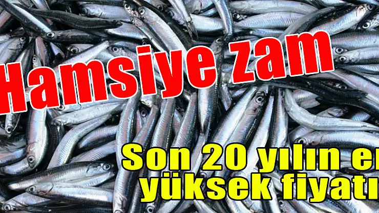 Hamsiye zam! Son 20 yılın en yüksek fiyatına ulaştı