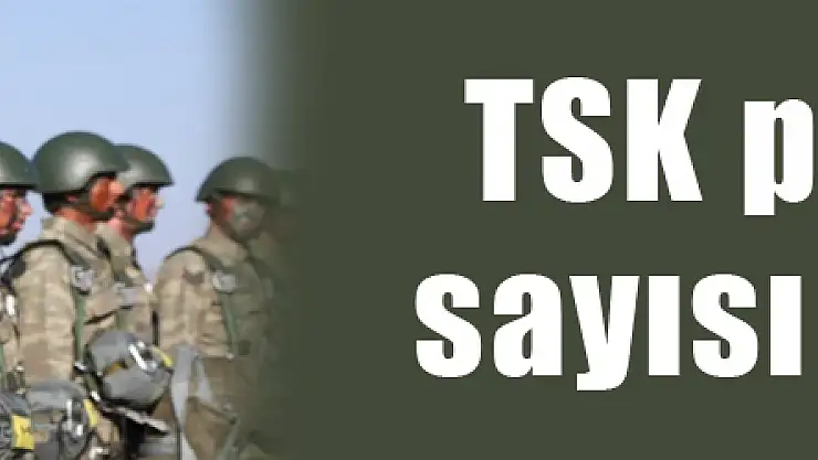 TSK personel sayısı açıkladı