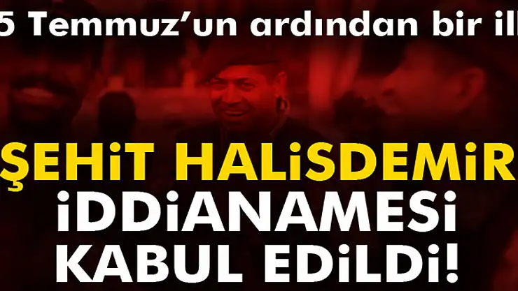 Ömer Halis Demir'i şehit edenlere müebbet hapis istemi