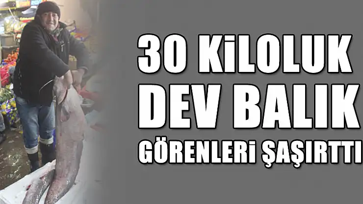 BU BALIK GÖRENLERİ ŞAŞIRTIYOR
