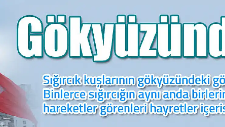 Gökyüzünde sığırcık şöleni