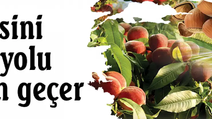 TZOB, 'Doların etkisini azaltmanın yolu yerli malından geçer'