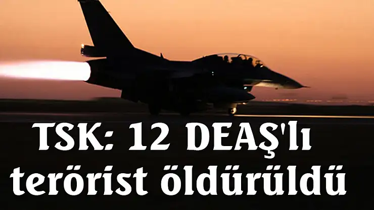 TSK: 12 DEAŞ'lı terörist öldürüldü