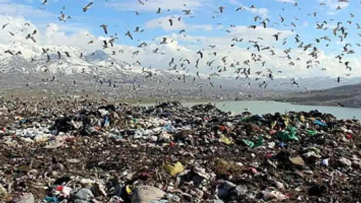 Çevreyi kirletenlerin cezaları belli oldu