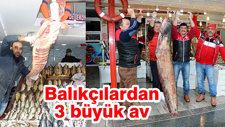 Balıkçılardan 3 büyük av