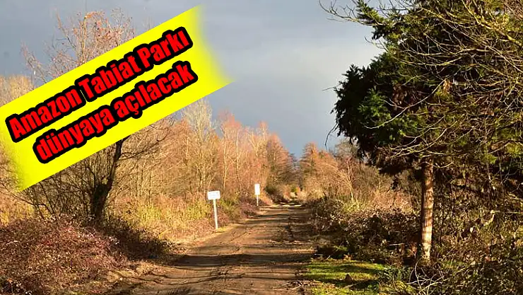 Amazon Tabiat Parkı dünyaya açılacak