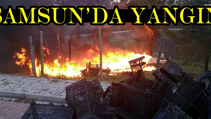 Samsun'da yangın