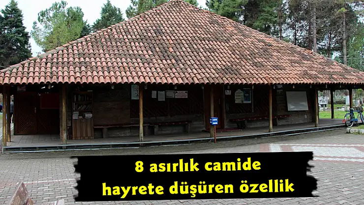 8 asırlık camide hayrete düşüren özellik