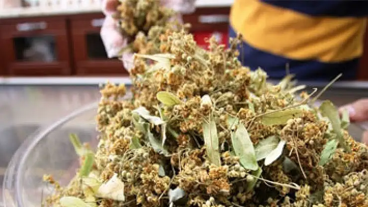 Ihlamur fiyatı altını solladı