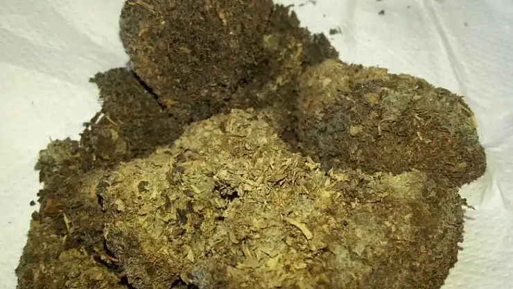 Çay paketinin içinden küf çıktı