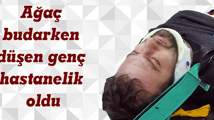 Ağaç budarken düşen genç hastanelik oldu