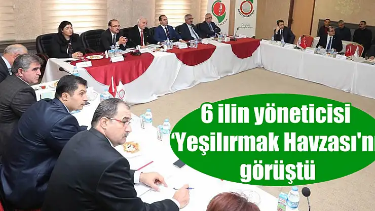 6 ilin yöneticisi 'Yeşilırmak Havzası'nı görüştü