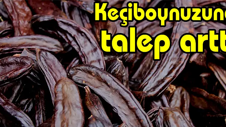 Keçiboynuzuna talep arttı