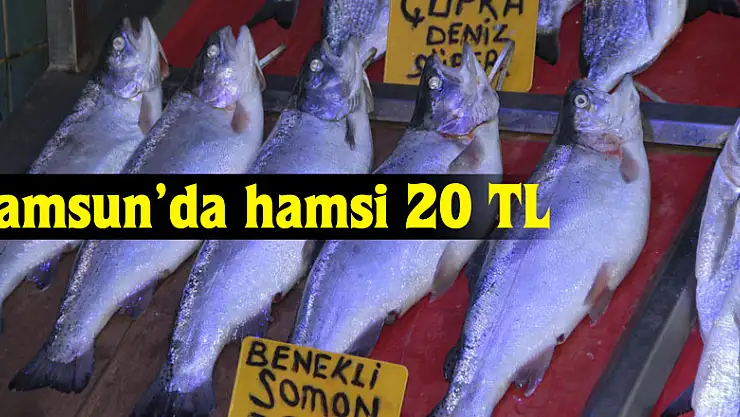 Samsun'da hamsi 20 TL