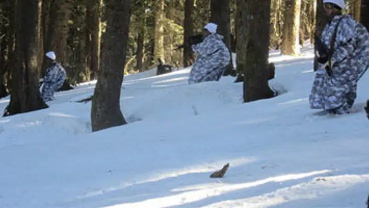 Karadeniz'de didik didik terörist arıyorlar