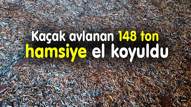 Kaçak avlanan 148 ton hamsiye el koyuldu