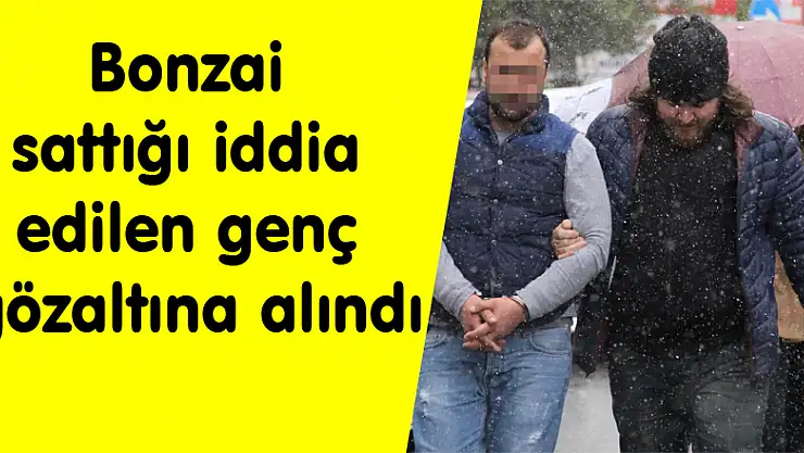 Bonzai sattığı iddia edilen genç gözaltına alındı