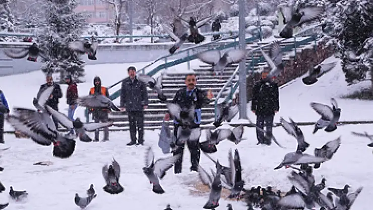 İlkadım Belediyesi sokak hayvanlarını unutmadı