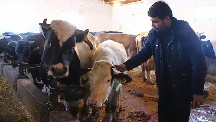 Tartışmaların yaşandığı süt sektöründe üretici isyanda