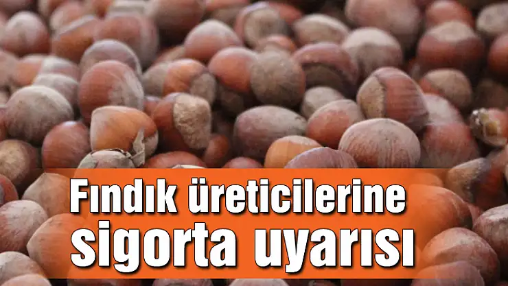 Fındık üreticilerine sigorta uyarısı