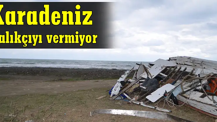  Karadeniz balıkçıyı vermiyor