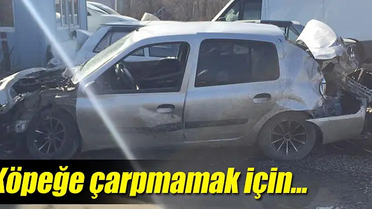 Köpek'e çarpmamak için...