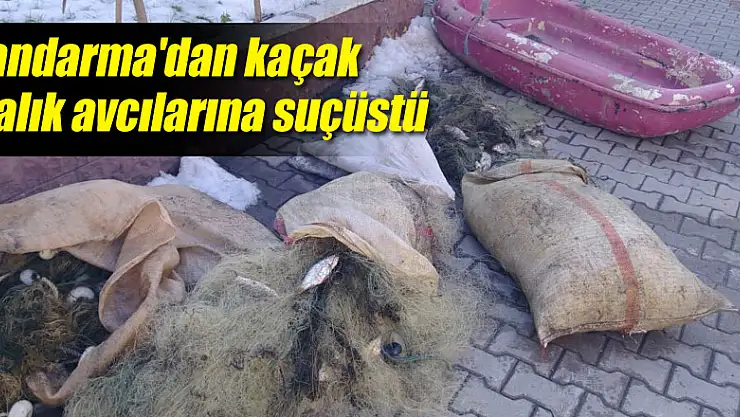Jandarma'dan kaçak balık avcılarına suçüstü