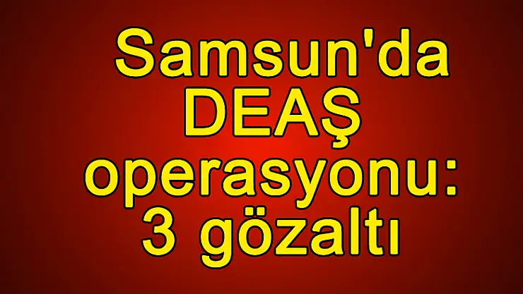 Samsun'da DEAŞ operasyonu: 3 gözaltı