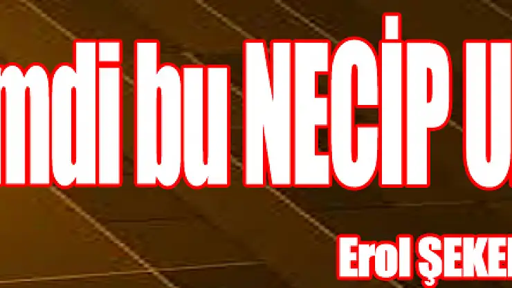 Kimdi bu NECİP UZUN ?