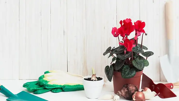 Minikler çiçek dikimini öğrenecek