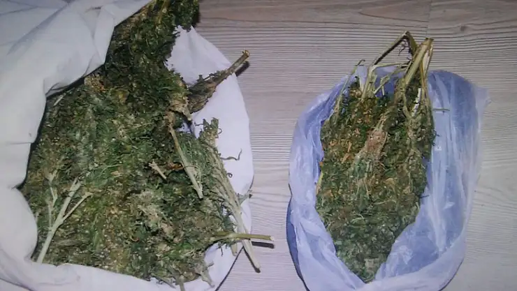 Samsun'da uyuşturucu operasyonu: 3 gözaltı