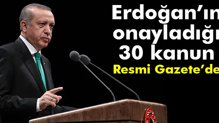Erdoğan'ın onayladığı 30 kanun Resmi Gazete'de