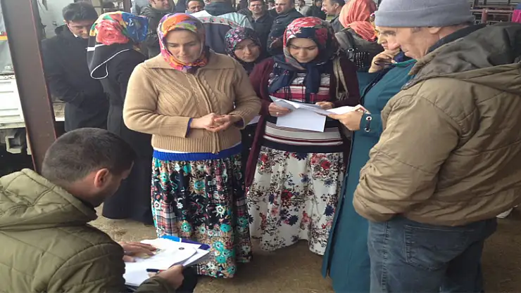 Genç Çiftçilere Büyükbaş Hayvan hibesi